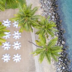 Отель The Westin Denarau Island Resort & Spa, Fiji Фиджи, Вити-Леву - отзывы, цены и фото номеров - забронировать отель The Westin Denarau Island Resort & Spa, Fiji онлайн фото 12