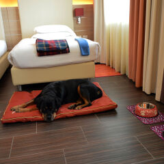 Best Western Soave Hotel сауна