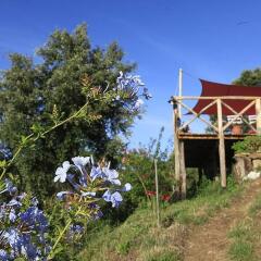 Отель Agricamping La Gallinella Кастаньето-Кардуччи