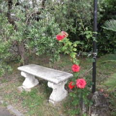 Отель Villa Baiera фото 4