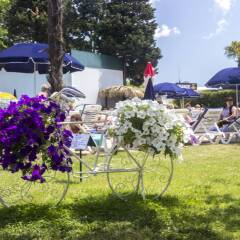 Отель Grand Hotel Sunny Beach - All Inclusive Болгария, Солнечный берег - отзывы, цены и фото номеров - забронировать отель Grand Hotel Sunny Beach - All Inclusive онлайн помещение для мероприятий