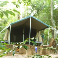 Отель The Yala Camping балкон