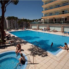Отель Las Vegas с домашними животными