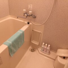 Sounkyo Kanko Hotel in Kamikawa, Japan from 108$, photos, reviews - zenhotels.com bathroom