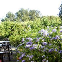 Отель B&B Villa Maria Giovanna Италия, Джардини Наксос - отзывы, цены и фото номеров - забронировать отель B&B Villa Maria Giovanna онлайн фото 12
