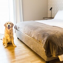 Отель 200 Rooms & Terrace Бари с домашними животными