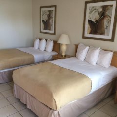 Lakeview Motel in Lakeland, United States of America from 106$, photos, reviews - zenhotels.com guestroom photo 2