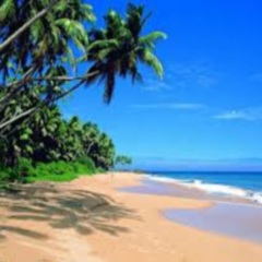 Отель Shaun Garden Holiday Resort пляж