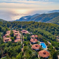 Отель Montana Pine Resort - All Inclusive фото 4