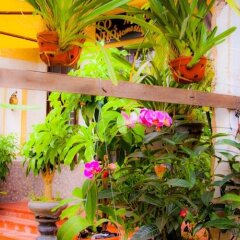 Отель Memories Homestay Хойан фото 2