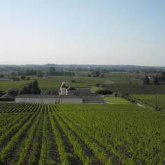 Отель Le Relais De Franc Mayne Saint Emilion Франция, Сент-Эмильон - отзывы, цены и фото номеров - забронировать отель Le Relais De Franc Mayne Saint Emilion онлайн фото 3