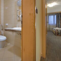 Hotel Malovec ванная