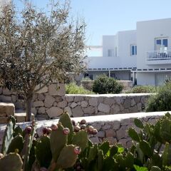 Milos Breeze Boutique Hotel фото 6