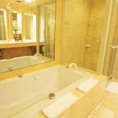 Dai-ichi Hotel Tokyo ванная