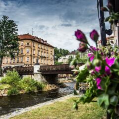 Hotel Dvorak Cesky Krumlov Чешский Крумлов фото 15