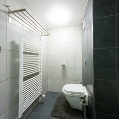 Апартаменты Ricci Apartments ванная