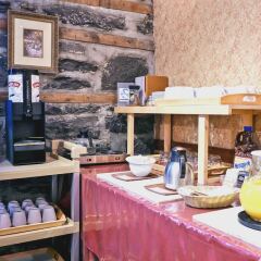 Отель Auberge Le jardin dAntoine Канада, Монреаль - отзывы, цены и фото номеров - забронировать отель Auberge Le jardin dAntoine онлайн гостиничный бар