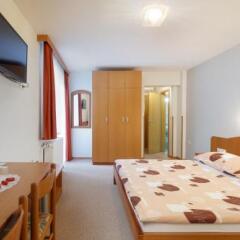 Rooms Šušteršič in Ljubljana, Slovenia from 137$, photos, reviews - zenhotels.com guestroom