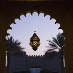 Отель Anantara Qasr Al Sarab Resort And Spa Оазис Лива фото 4