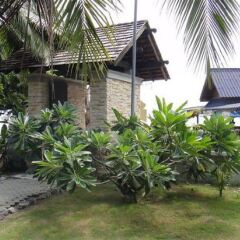 Отель Seashell Resort Koh Tao Таиланд, Остров Тау - 1 отзыв об отеле, цены и фото номеров - забронировать отель Seashell Resort Koh Tao онлайн фото 5