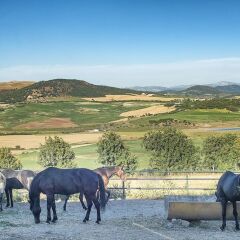 Отель Cortijo Sierra y Lago фото 18