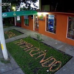 Отель Tamarindo Hostel Гондурас, Сан-Педро-Сула - отзывы, цены и фото номеров - забронировать отель Tamarindo Hostel онлайн фото 3
