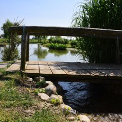 Отель Agriturismo Fondo San Benedetto Мазера-ди-Падова приотельная территория фото 2