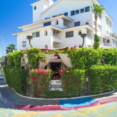 Отель Bahia Hotel & Beach House Мексика, Кабо-Сан-Лукас - отзывы, цены и фото номеров - забронировать отель Bahia Hotel & Beach House онлайн фото 10