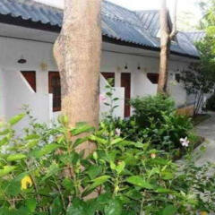 Отель Baan Rom Mai Resort Самуи фото 2