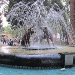 Отель Hostal MX Coyoacan Мексика, Мехико - отзывы, цены и фото номеров - забронировать отель Hostal MX Coyoacan онлайн