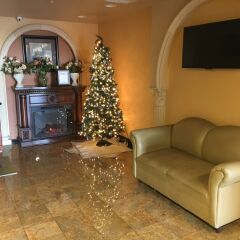 Отель Americas Best Value Inn-South Gate Downey США, Южные ворота - отзывы, цены и фото номеров - забронировать отель Americas Best Value Inn-South Gate Downey онлайн гостиничный бар