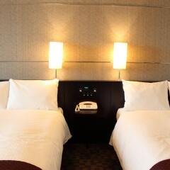 Hotel Villa Fontaine Tokyo-Shiodome комната для гостей фото 2