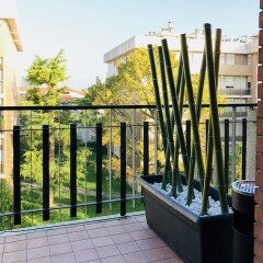 Отель Cityhouse Италия, Падуя - отзывы, цены и фото номеров - забронировать отель Cityhouse онлайн балкон
