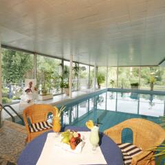 Отель Ringhotel Seehof Berlin Германия, Берлин - отзывы, цены и фото номеров - забронировать отель Ringhotel Seehof Berlin онлайн бассейн фото 2