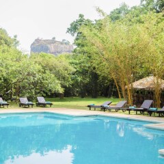 Отель Sigiriya Village бассейн