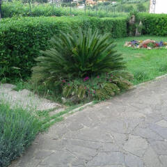 Отель Villa Baiera фото 12
