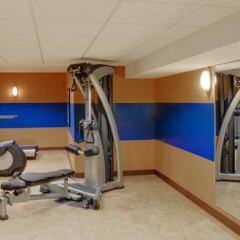 Отель Holiday Inn Niagara Falls Scenic Downtown США, Ниагара-Фолс - отзывы, цены и фото номеров - забронировать отель Holiday Inn Niagara Falls Scenic Downtown онлайн фитнесс-зал фото 4