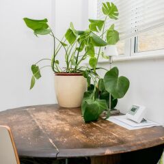 Отель Central Modern Apartment Великобритания, Лондон - отзывы, цены и фото номеров - забронировать отель Central Modern Apartment онлайн в номере