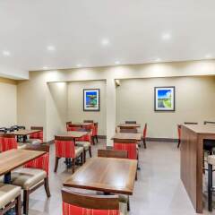 Comfort Inn Suites Orange County John Wayne Airport In Santa Ana