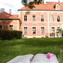 Отель Lezno Palace Польша, Эльганово - 4 отзыва об отеле, цены и фото номеров - забронировать отель Lezno Palace онлайн фитнесс-зал фото 4