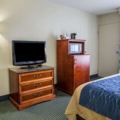 Отель Comfort Inn On the Ocean удобства в номере