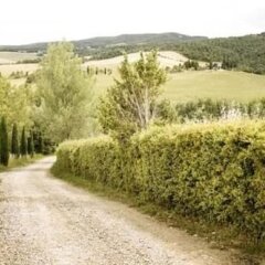 Отель Agriturismo Esperia Кьянчиано Терме фото 6