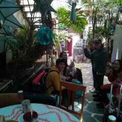 Hostel Mexico Df Airport Мехико питание фото 2