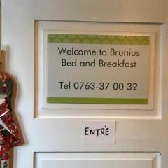 Отель Brunius Bed and Breakfast Швеция, Лунд - отзывы, цены и фото номеров - забронировать отель Brunius Bed and Breakfast онлайн удобства в номере