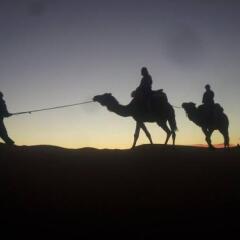 Отель Sahara Camels Camp Марокко, Мерзуга - отзывы, цены и фото номеров - забронировать отель Sahara Camels Camp онлайн развлечения