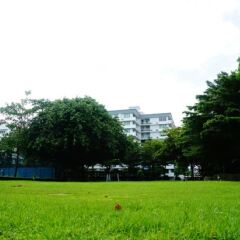 Отель Waterford Condominium Sukhumvit 50 Бангкок