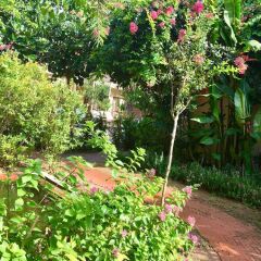 Отель Villa Orchid Garden Riverside фото 17