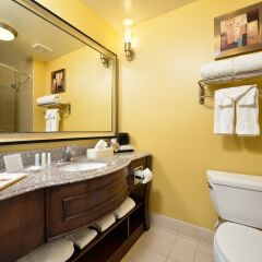 Отель Comfort Suites Bay City ванная
