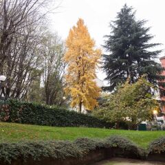Отель IH Hotels Milano ApartHotel Argonne Park Италия, Милан - 2 отзыва об отеле, цены и фото номеров - забронировать отель IH Hotels Milano ApartHotel Argonne Park онлайн фото 6