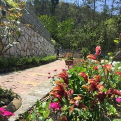 Отель Sapa Garden Bed and Breakfast Вьетнам, Шапа - отзывы, цены и фото номеров - забронировать отель Sapa Garden Bed and Breakfast онлайн фото 5
